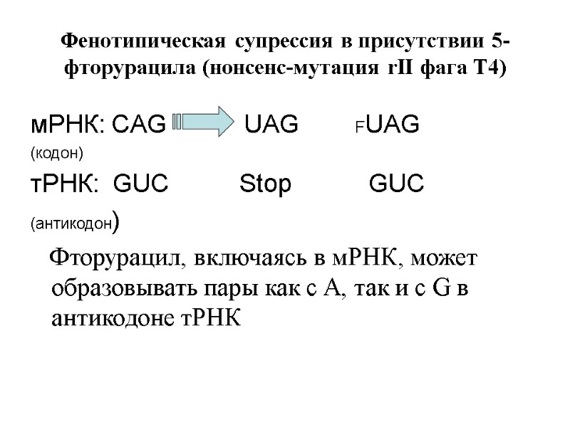 Фенотипическая супрессия в присутствии 5-фторурацила (нонсенс-мутация rII фага Т4) мРНК: CAG   